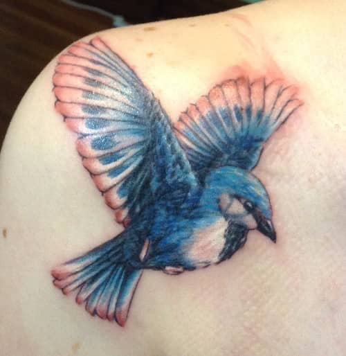 tattoo by Starr, blue bird cover up